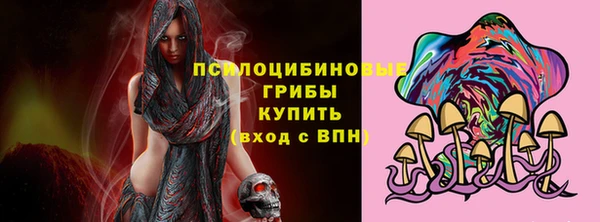 PSILOCYBIN Алзамай