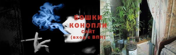 PSILOCYBIN Алзамай