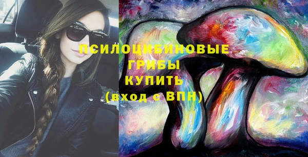 PSILOCYBIN Алзамай