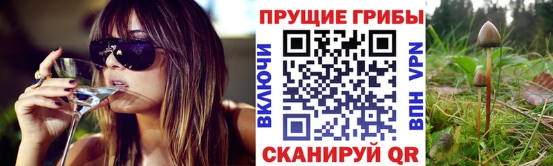 Псилоцибиновые грибы мухоморы Солнечногорск